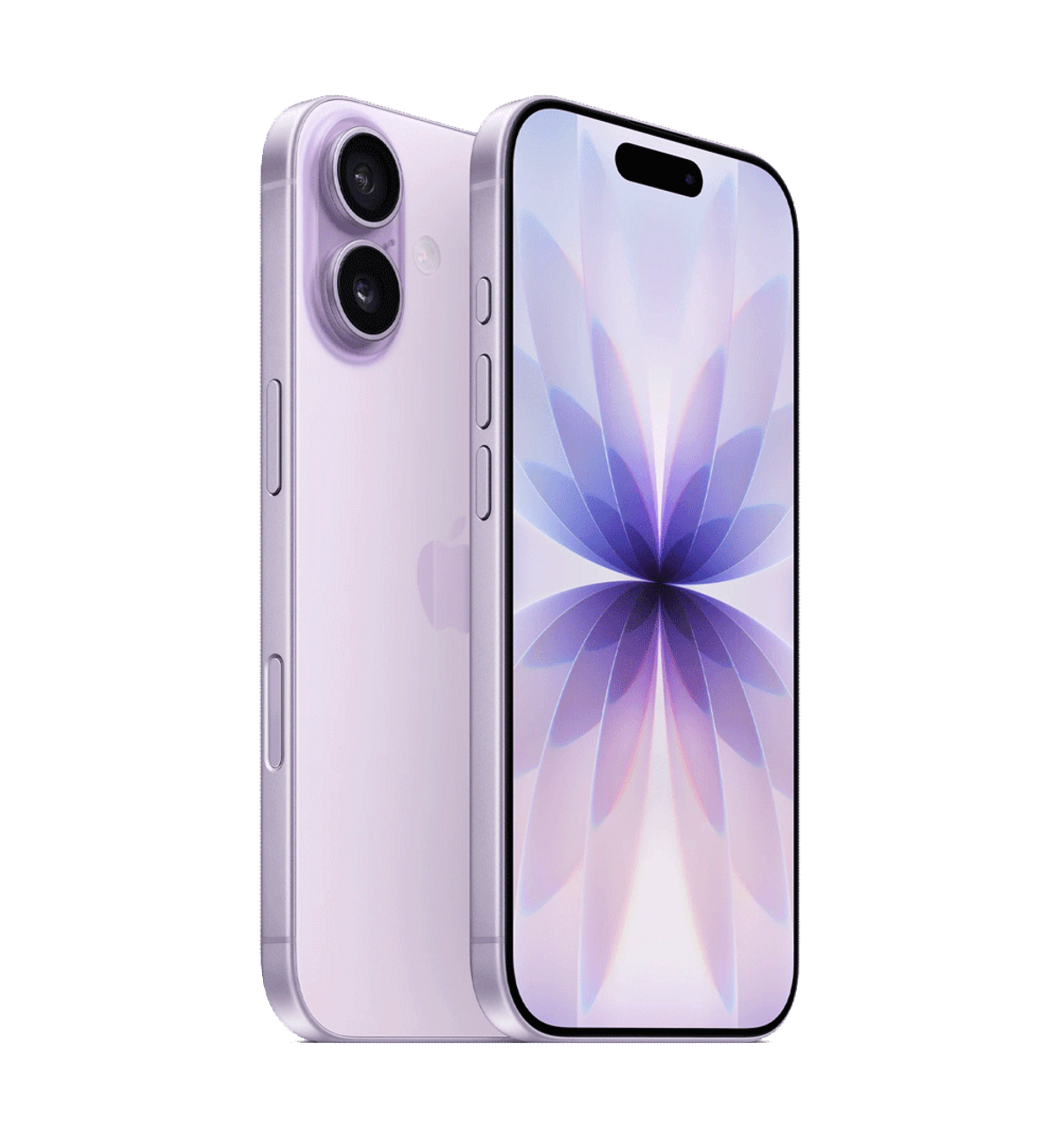 iPhone 17 / 256 GB/ eSIM